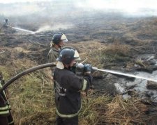 Мінекології пропонує перетворювати торфовища на болота