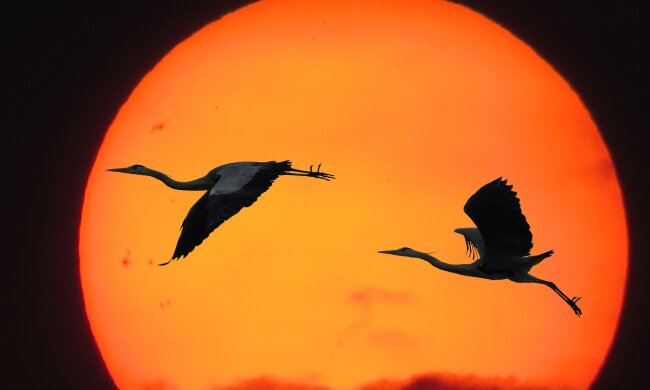 Весняне рівнодення, фото: pixabay