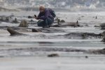 Доісторична цивілізація з'явилася після урагану: чекала під водою 4,5 тисячі років