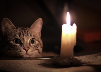 в Киеве энергетический коллапс