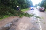 Наслідки негоди, фото ДСНС