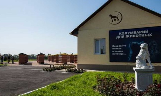 Харків запропонує всім власникам домашніх тварин унікальну послугу: у місто поїдуть зі всієї України