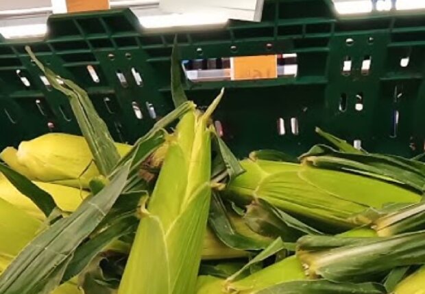 Ціни на кукурудзу, скріншот: YouTube