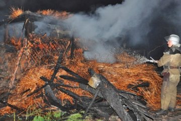 На запорізькій "Хортиці" горіли дерев'яні навіси (фото)
