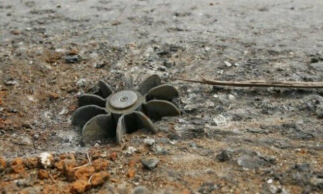 У Мар'їнці на розтяжці підірвалася подружня пара