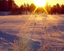 Погода на 17 января: пришло нежданное потепление