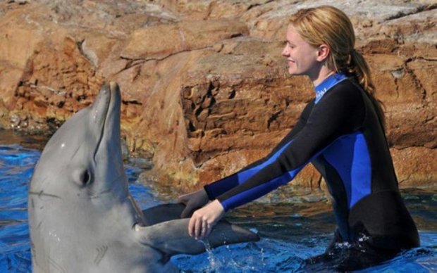 Общение с людьми удивительно сказывается на дельфинах 
