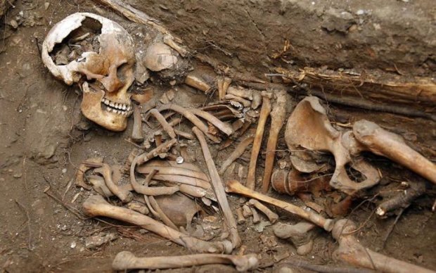Ученые нашли неизвестных предков людей: видео