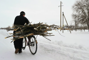 Дрова, изображения из свободных источников
