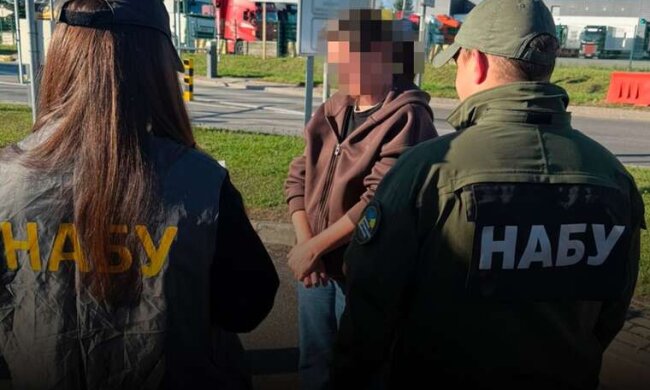 Екстрадиція фігурантки справи
