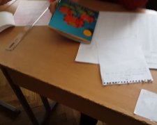 Наблюдатели от "УДАРа" пытаются "проконтролировать" явку избирателей (видео)