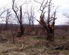 Спасаться больше нечем: на Херсонщине назревает экологическая катастрофа, жители в панике