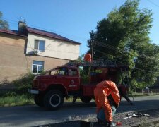 В Днепре пчелы оккупировали жилой дом и "привели друзей" - страшно высунуть нос