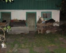 Київський грабіжник побив жінку через велосипед