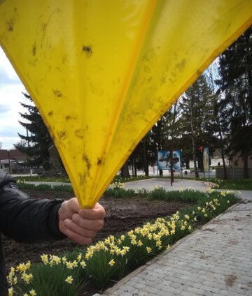 Надругательство над флагом, фото: Инна Суверток / Facebook
