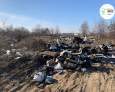 незаконне сміттєзвалище