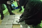 СБУ "загубила" 9 кг кокаїну, знайдених в Одеському порту: у когось буде свято