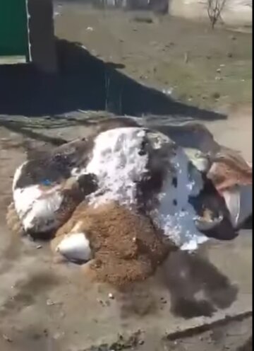 В Чернобаевке местные сожгли вражескую гуманитарку, скриншот