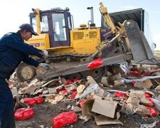 В Петербурге планируют пикеты против уничтожения санкционной пищи