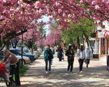 Погода на 1 мая: украинцев порадует летнее тепло