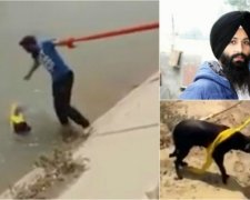 Индус забыл о религии ради спасения собаки