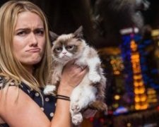 Сердитая кошка сделала свою хозяйку миллионершей