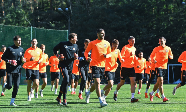 Шахтар - Гоффенгайм: анонс матчу Ліги чемпіонів