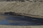 Виток нафтопродуктів у Чорному морі поблизу Новоросійська