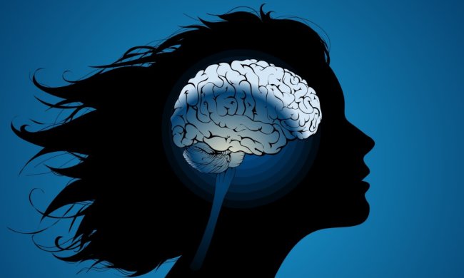 Медик розвінчав головний міф про мозок: нам брехали з дитинства