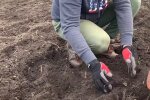 Робота на городі. Фото: Youtube