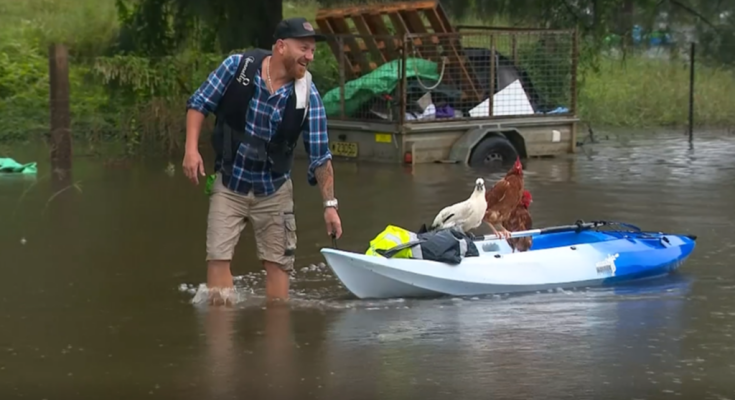 Паводки в Австралії, фото: 7News