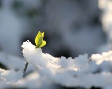 Погода на 13 марта: тепло вернется, но ненадолго