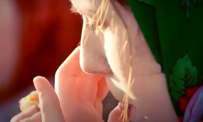 Масленица, скриншот: Youtube