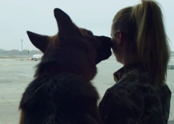 прикордонниця з вівчаркою, скріншот з відео