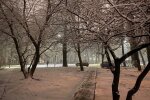 Ночной парк, фото знай.ua
