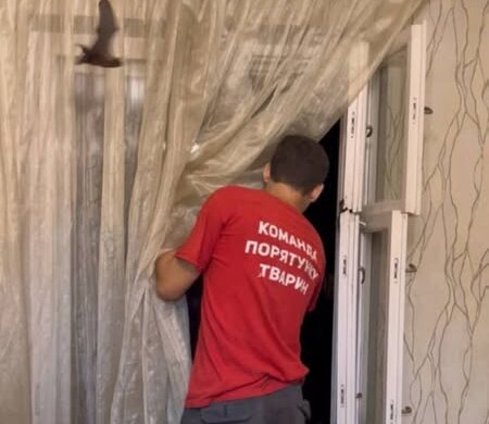 Летучие мыши: фото Kyiv Animal Rescue Group