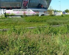 Вітрина руського міру: вид Донбас Арени обурив українців