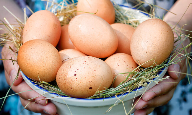 Яйця, фото: Ezoterika.me