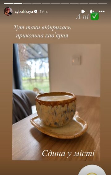 Stories Олі Цибульської, скріншот: Instagram