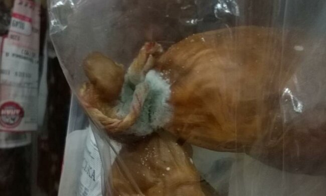 У Харкові торгують ковбасою з цвіллю  (фото)