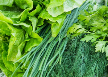 Свіжа зелень / фото: depositphotos