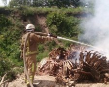 Під Києвом горіло кладовище