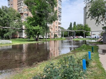 фото: МГ "Объектив"