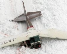 Авіакатастрофа в Японії: жертви цілий день пролежали у снігу