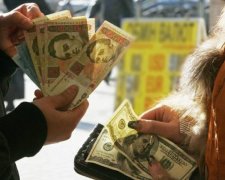 Агентство Fitch прогнозує курс 25 гривень за долар у 2016 році