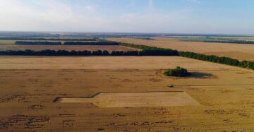 Комбайнери встановили новий Національний рекорд, фото: Баядера