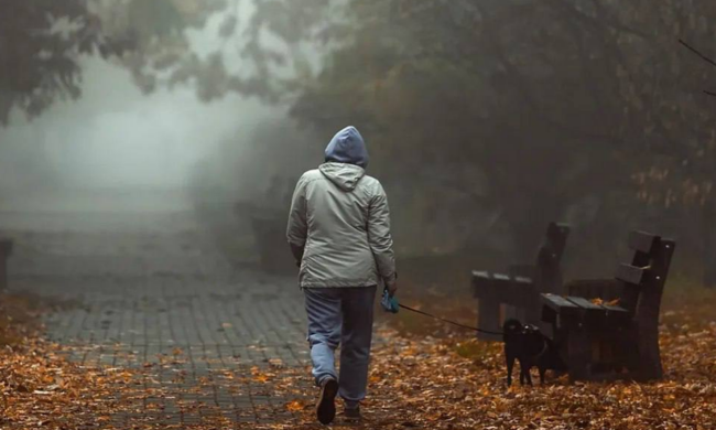 Украинцы, осень, туман, фото из соцсетей