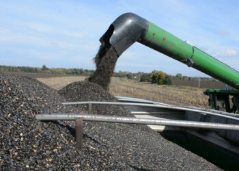 Експорт соняшнику