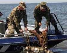 Великий улов: браконьєри наловили риби на десятки тисяч