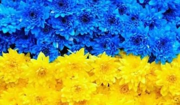 Стало відомо, кому в Україні жити добре